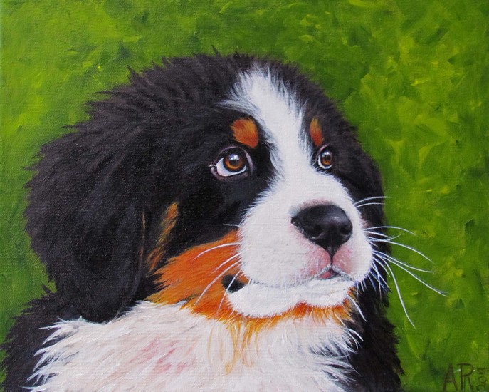 HUISDIERPORTRET - BALOU