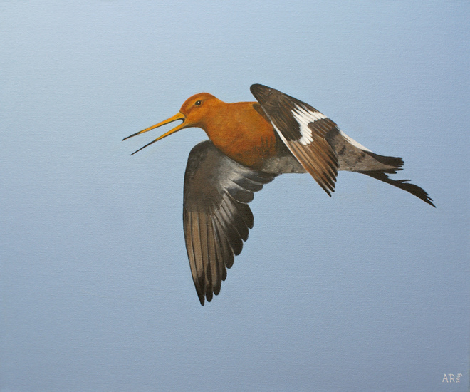 GRUTTO IN VLUCHT