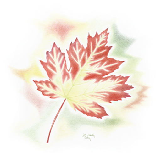 Herfstblad