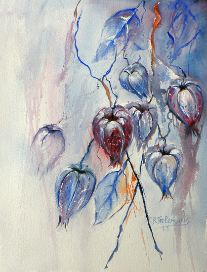 Lampionplant, aquarel van plant