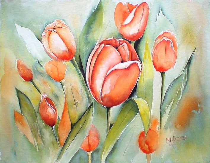 Tulpen