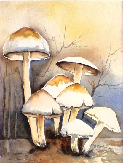 Paddestoelen