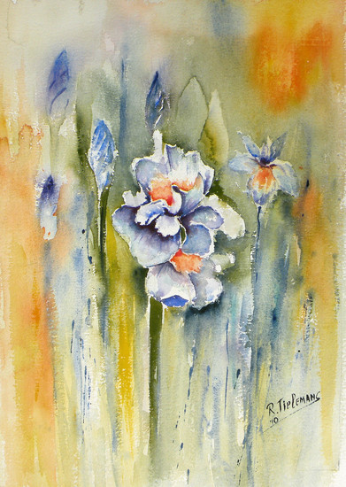 Blauwe Iris, aquarel van bloem