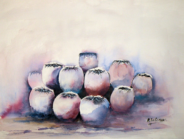 Papaverzaden, aquarel van zaden