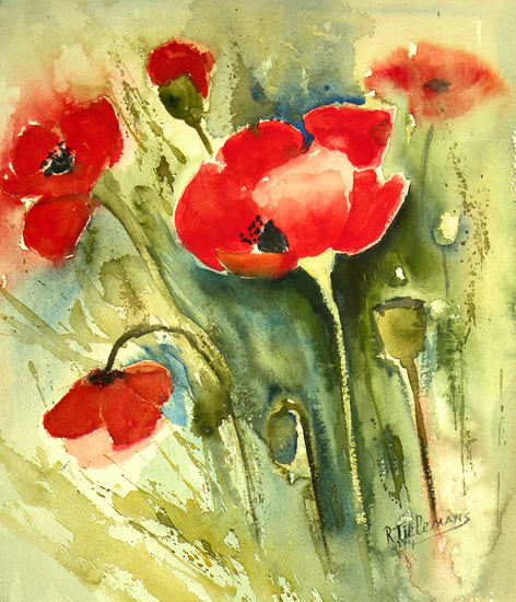 Klaprozen, aquarel van bloemen