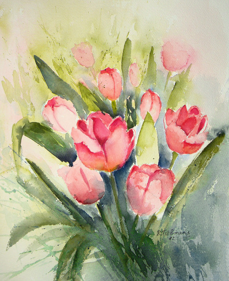 Roze Tulpen
