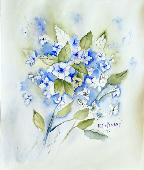 Lichtblauwe Hortensia, aquarel van bloemen