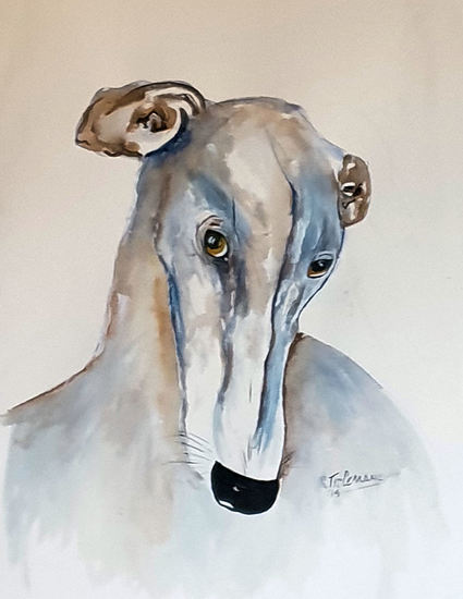 Galgo (Spaanse windhond)