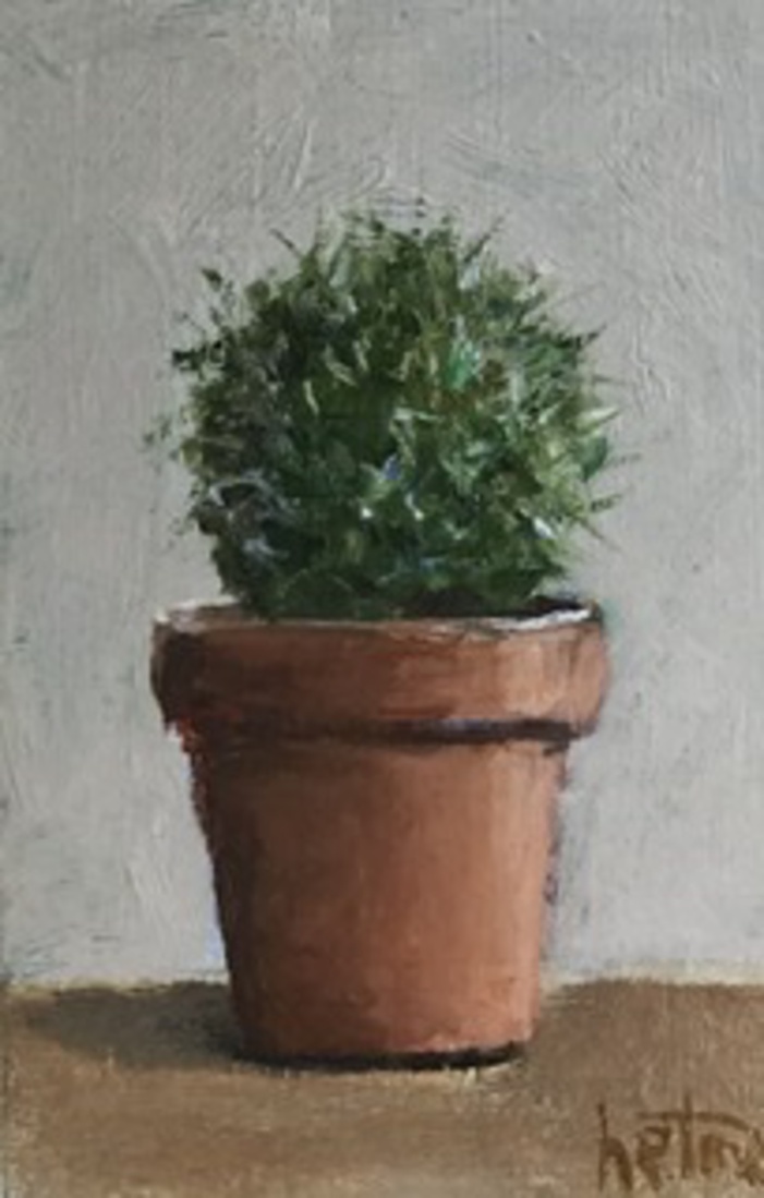 Cactus 2