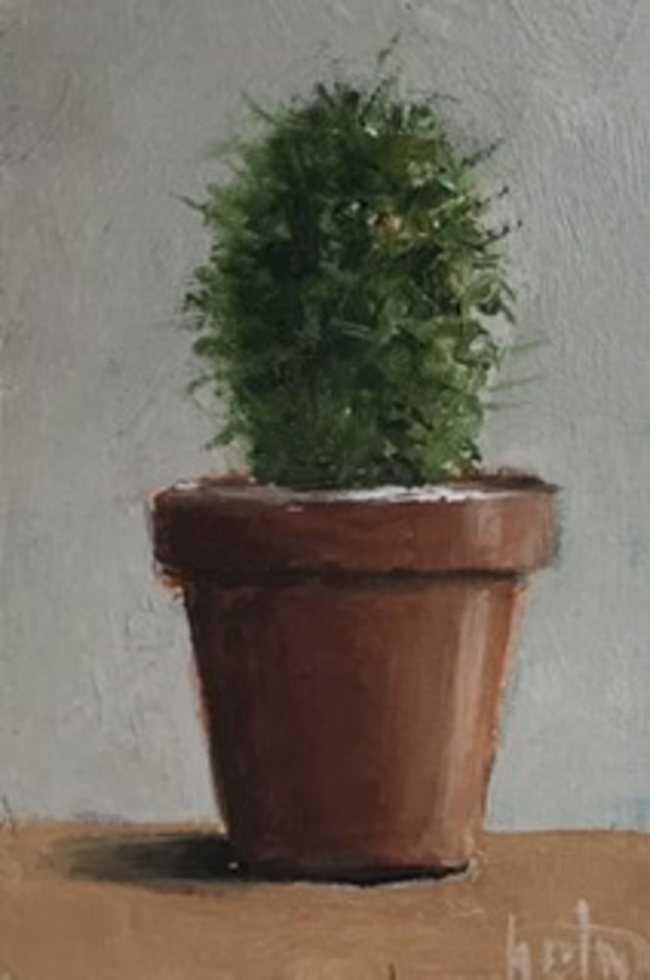 Cactus 1