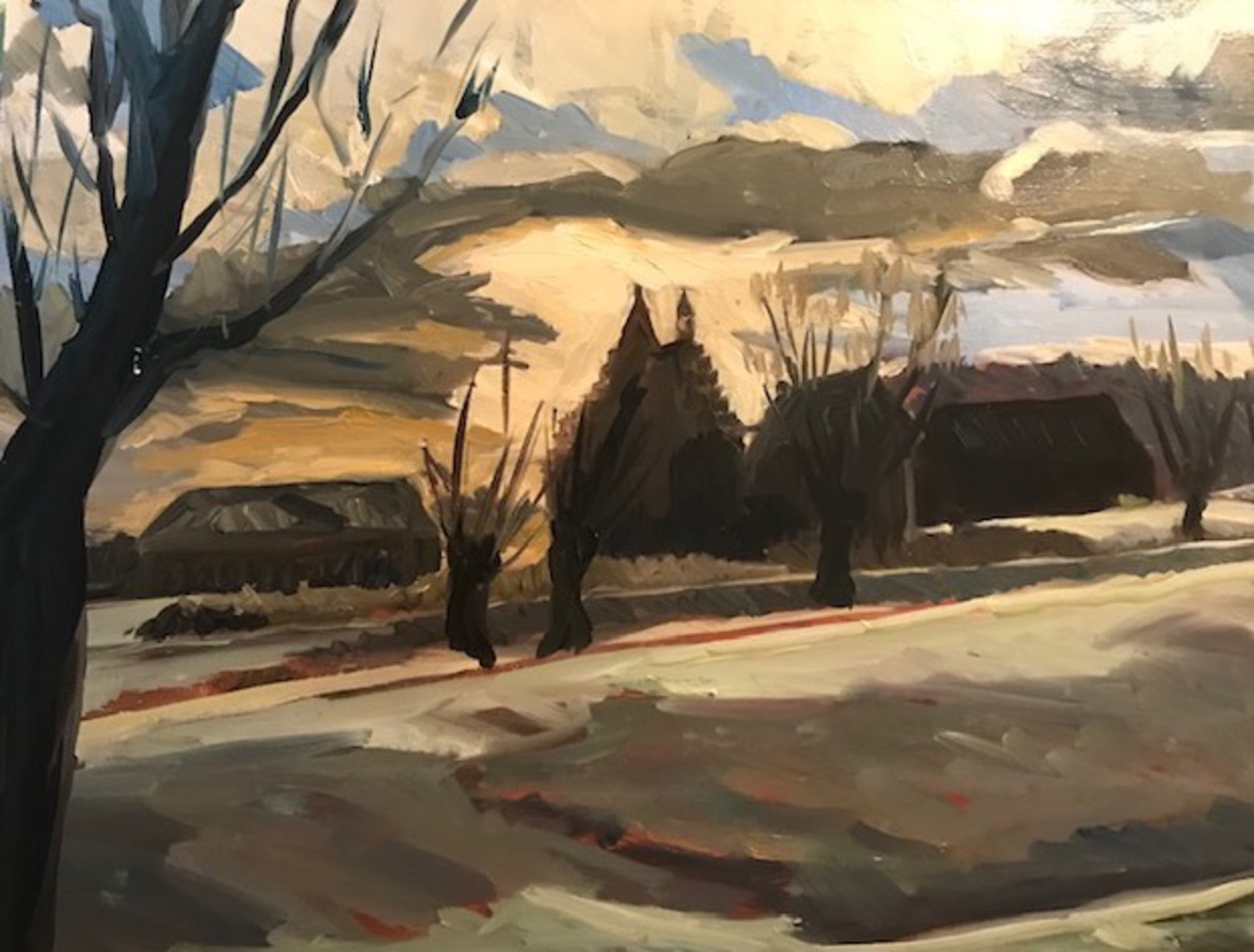 Langbroekerdijk avondlicht in de winter