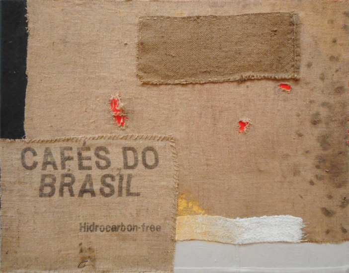 Zak Brasil