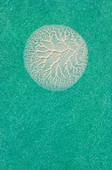 Grillige cirkel in turquoise 1