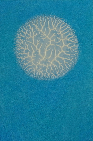 Grillige cirkel in helderblauw 3