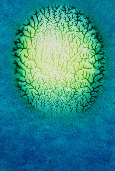 Licht in het groen