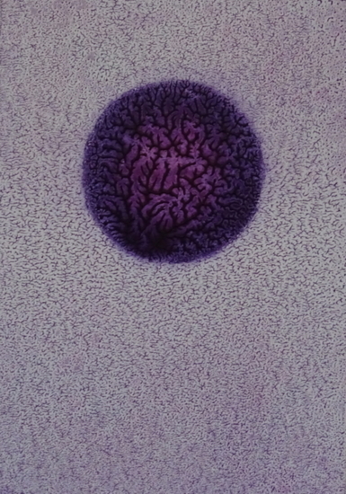 Grillige paarse cirkel 2