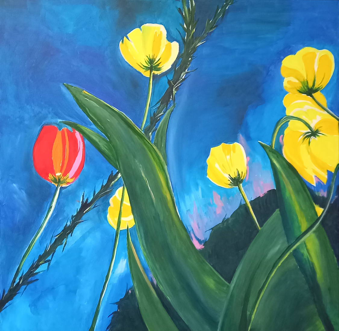 Wildetulp