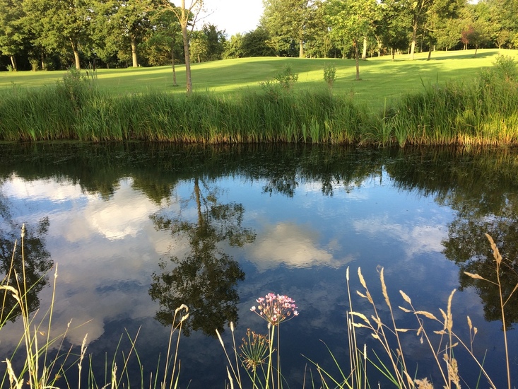 Golfbaan