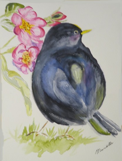 Blackbirds