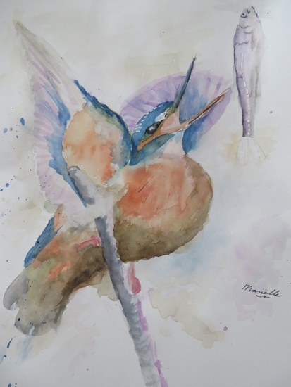 IJsvogel