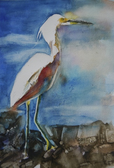 white heron