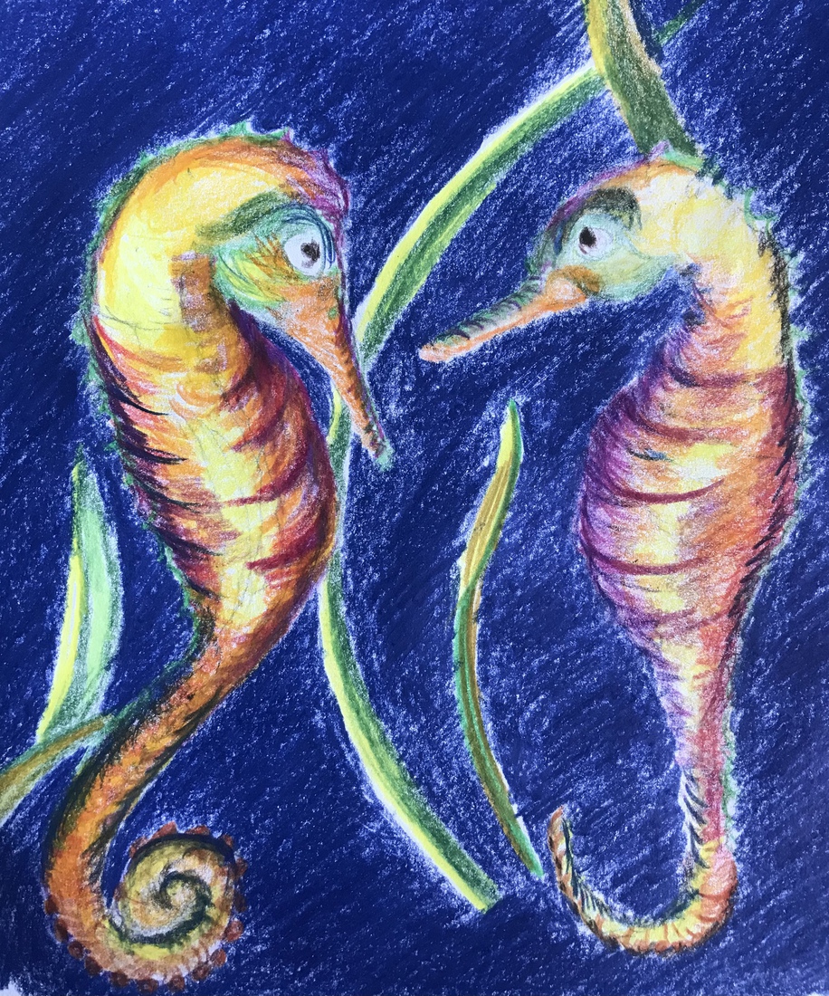 Tekenles zeepaardjes