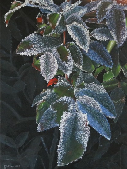 Hulst in de winter