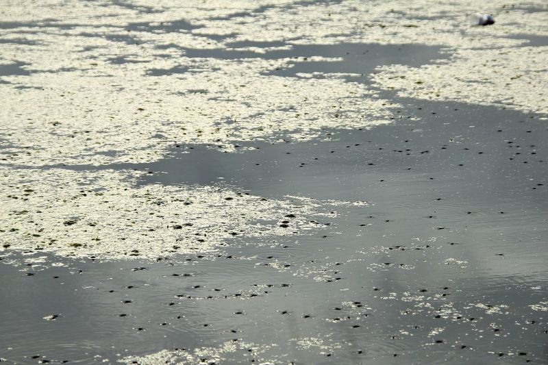 Water (3)
