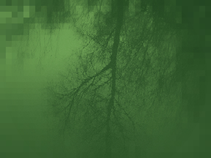 Green Fantasy 5