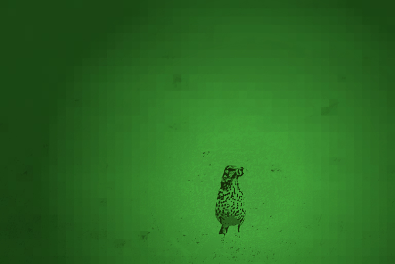 Green Fantasy 6