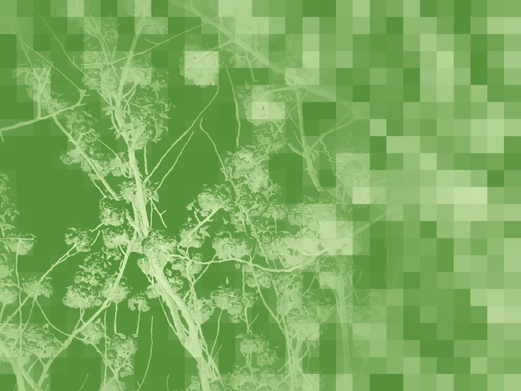Green Fantasy 3