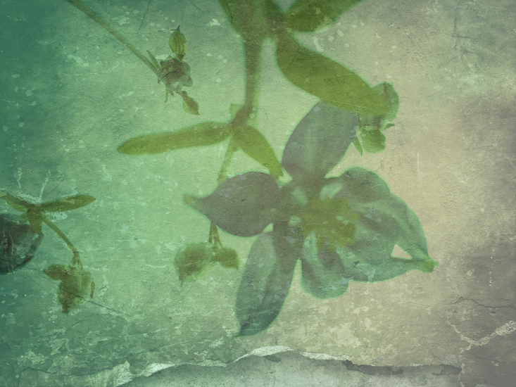 Green Fantasy 4