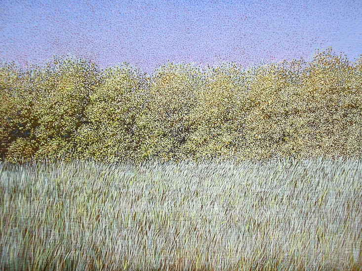 In de zon zinderende bomen.