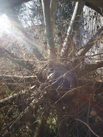 ZON ZOENT DOORWOELD WIEL