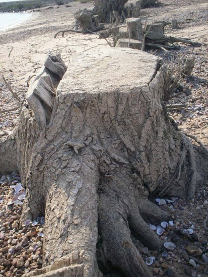 AAN DE GROND GENAGELD