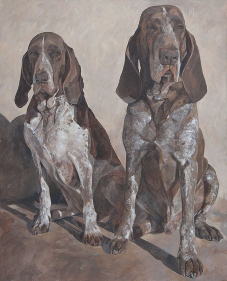 Bracco Italiano - paar