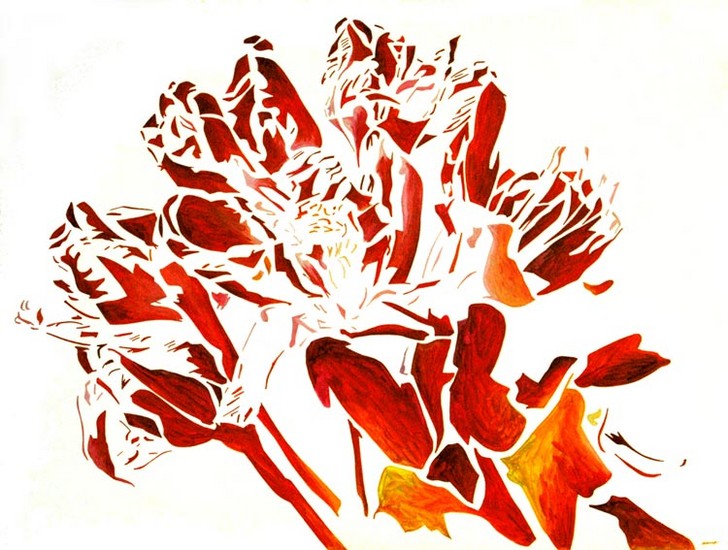 Rhododendron