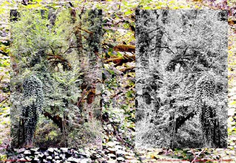 Cascade de Cerveyrieu 5