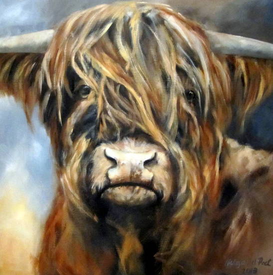 Schotse Hooglander