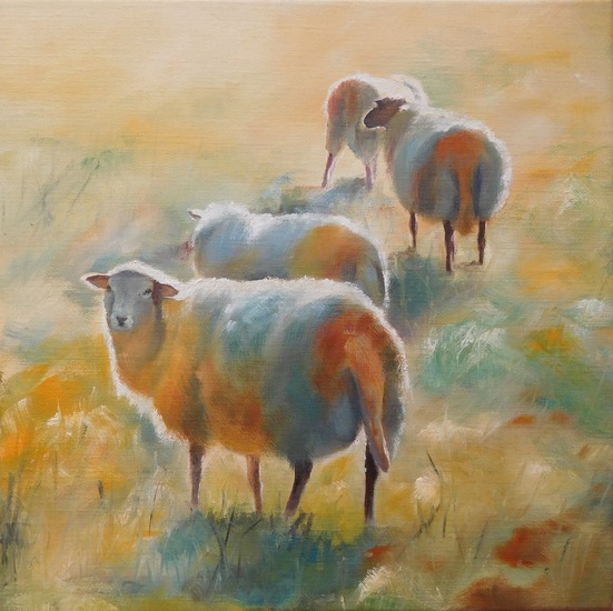 Schapen in de winter