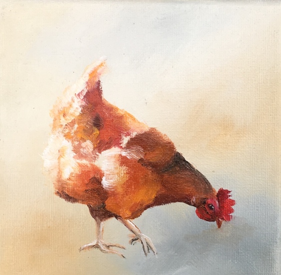 Miniatuur 5