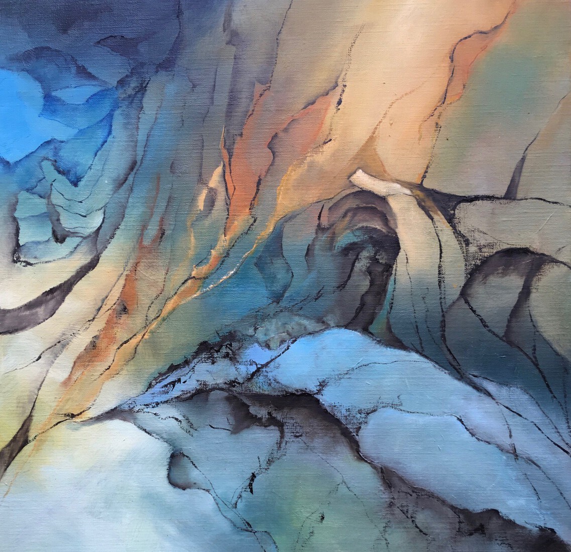 Eucalyptus nr. 1