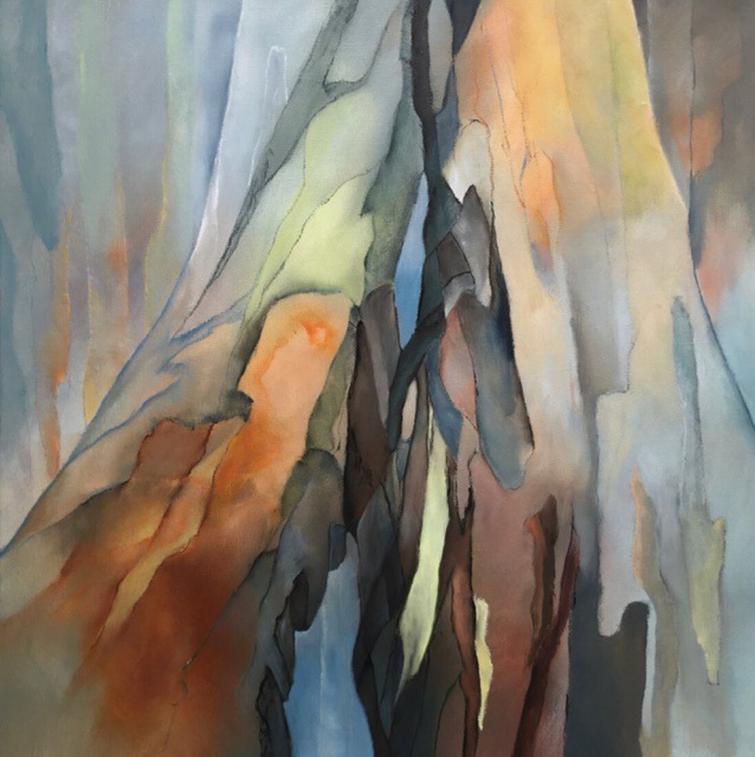 eucalyptus nr 3