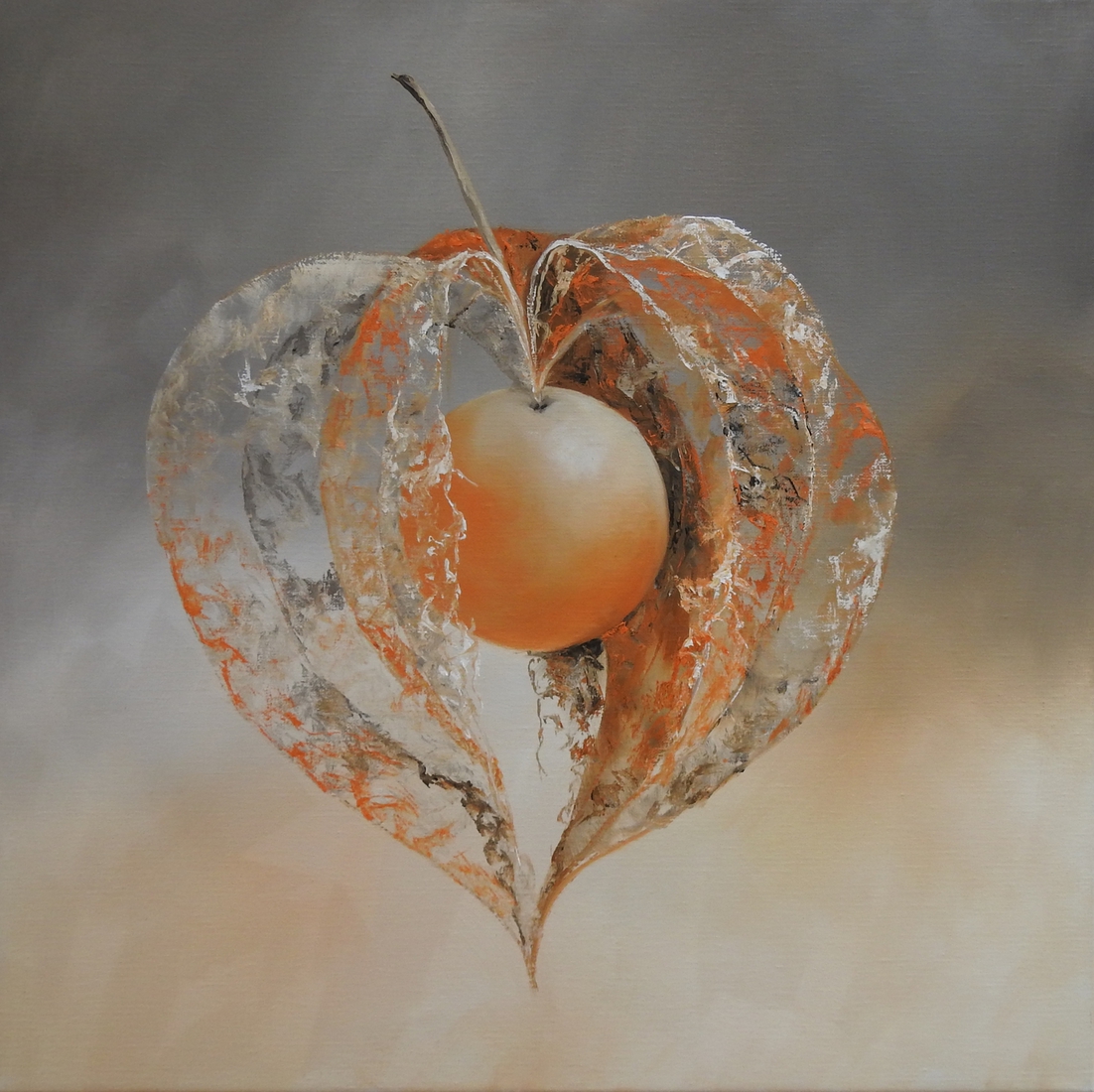 Physalis 1