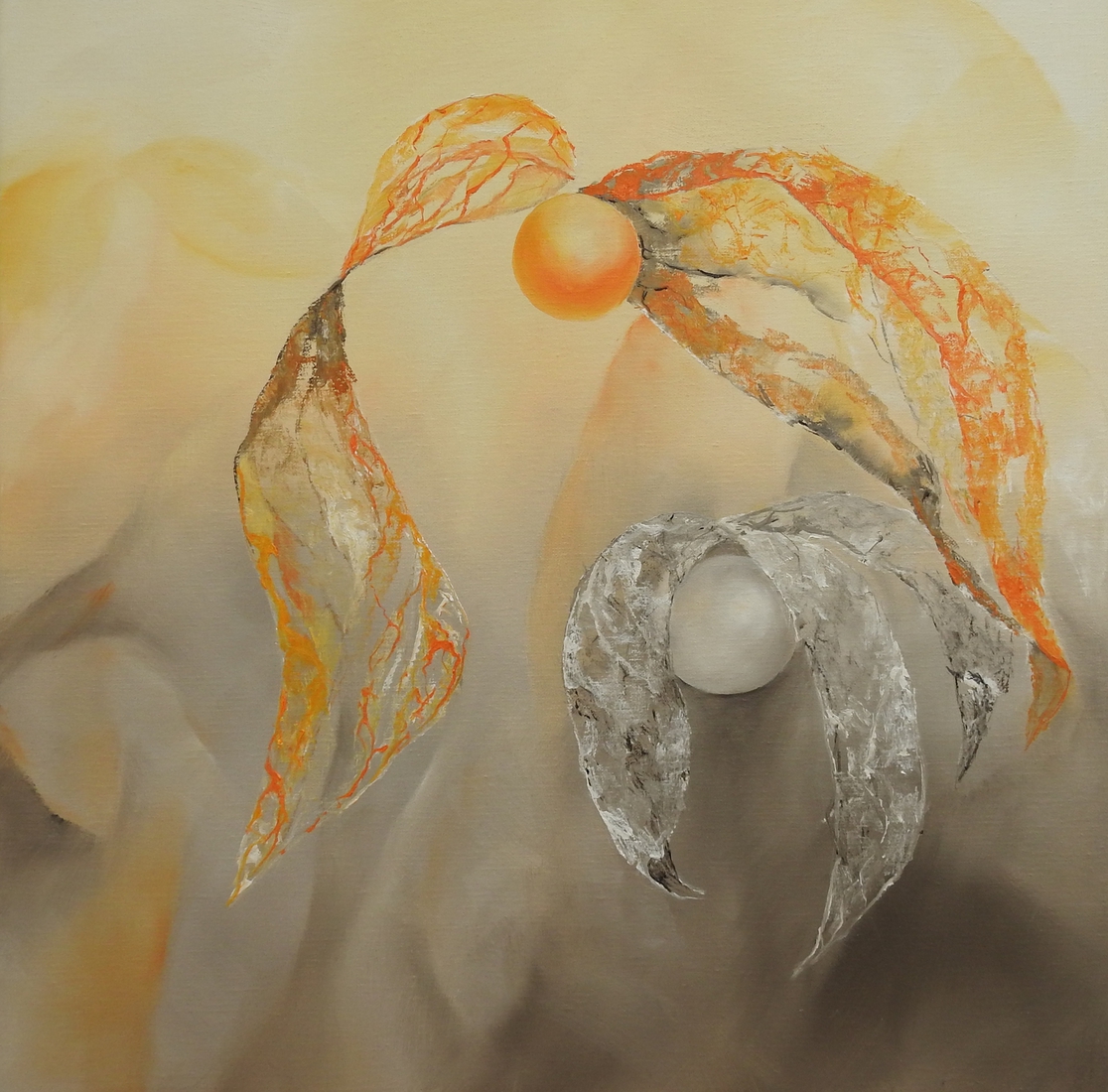 Physalis 2