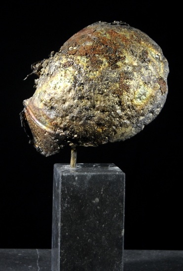 Helmet 3