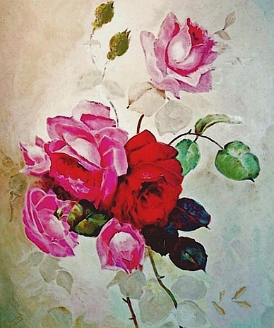 rode rozen