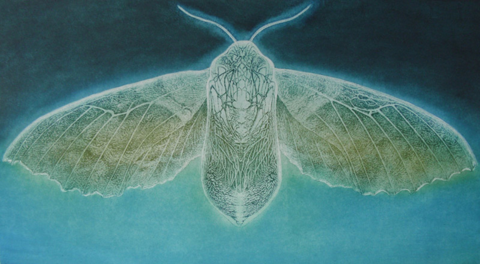Dreamtime II