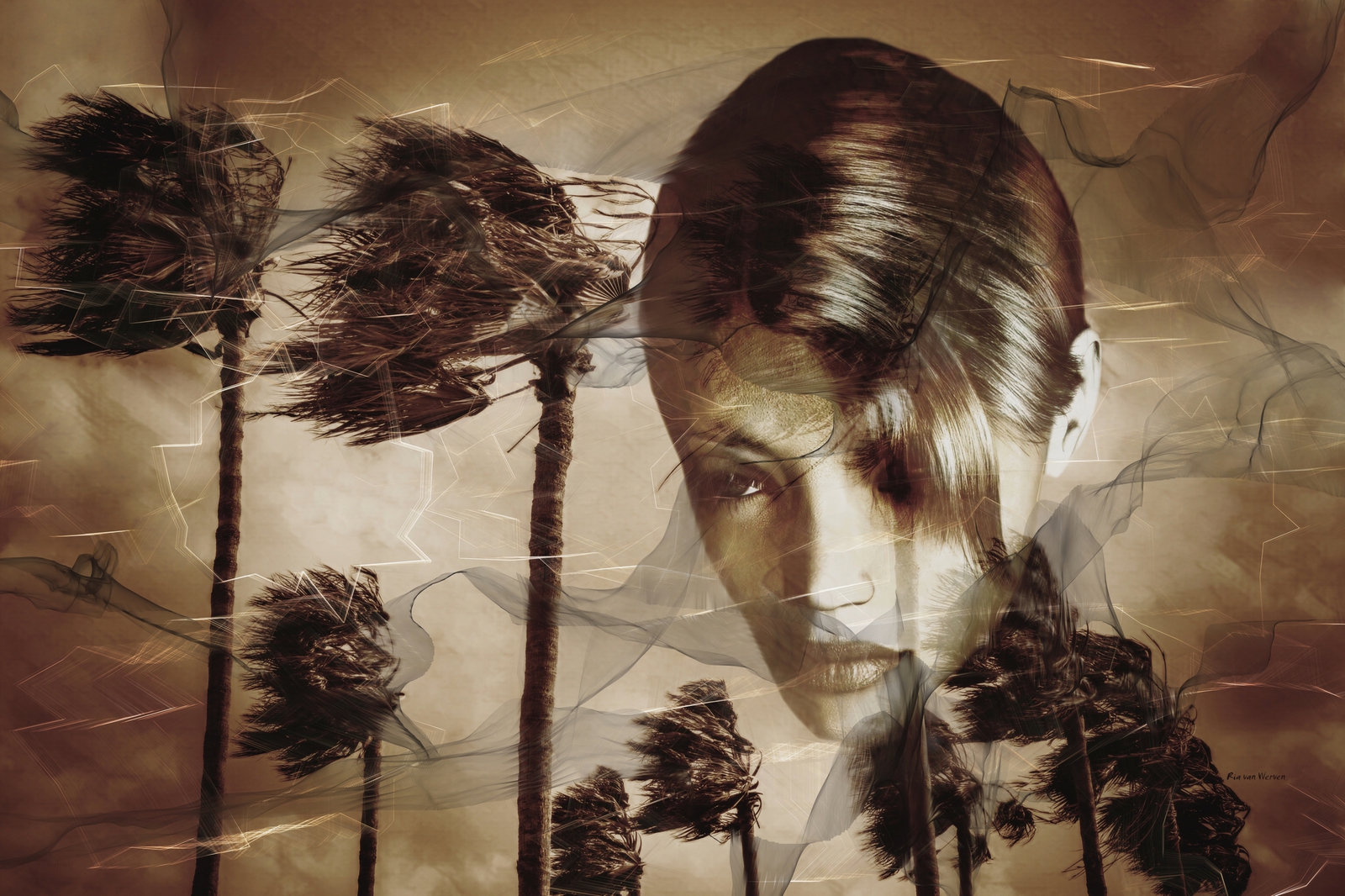 wild is the wind