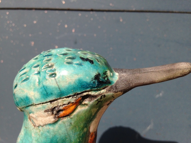 Ijsvogel Turquise op tak